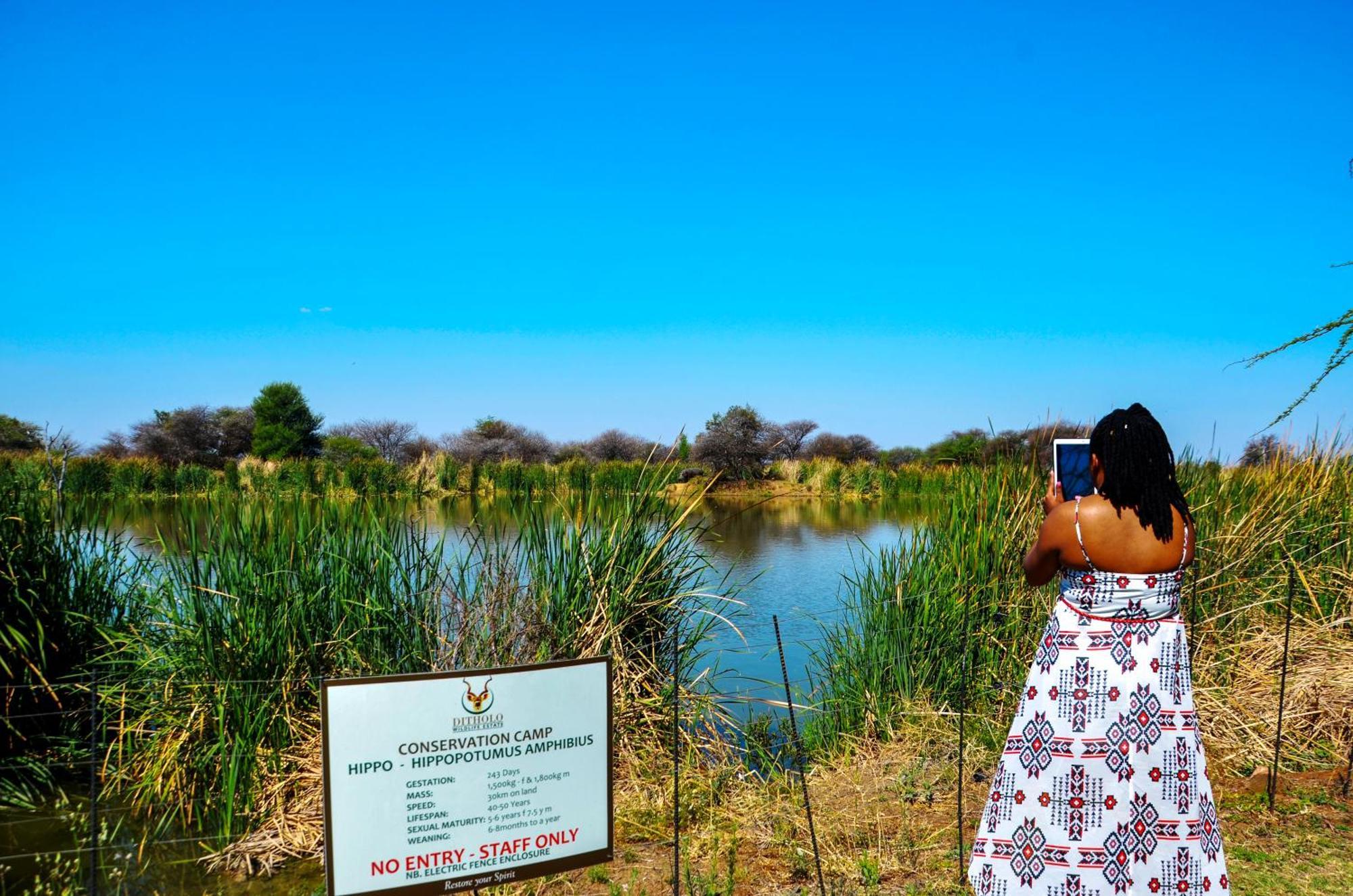 Ditholo Game Lodge Bela Bela المظهر الخارجي الصورة