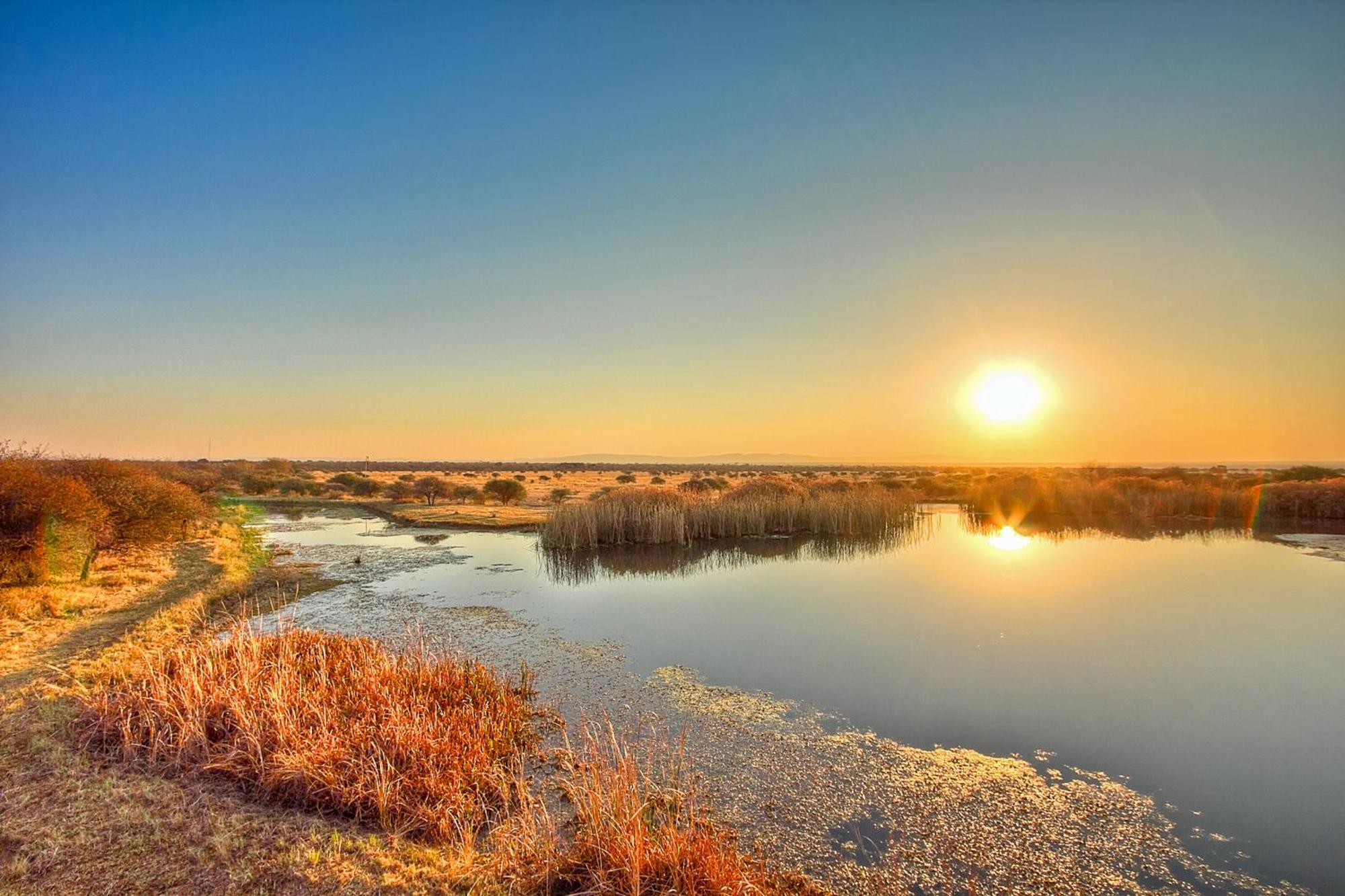 Ditholo Game Lodge Bela Bela المظهر الخارجي الصورة