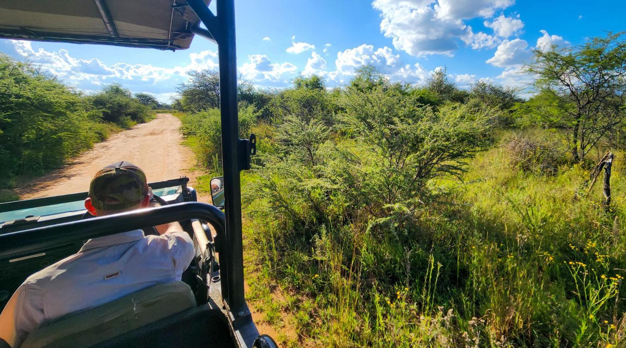 Ditholo Game Lodge Bela Bela المظهر الخارجي الصورة