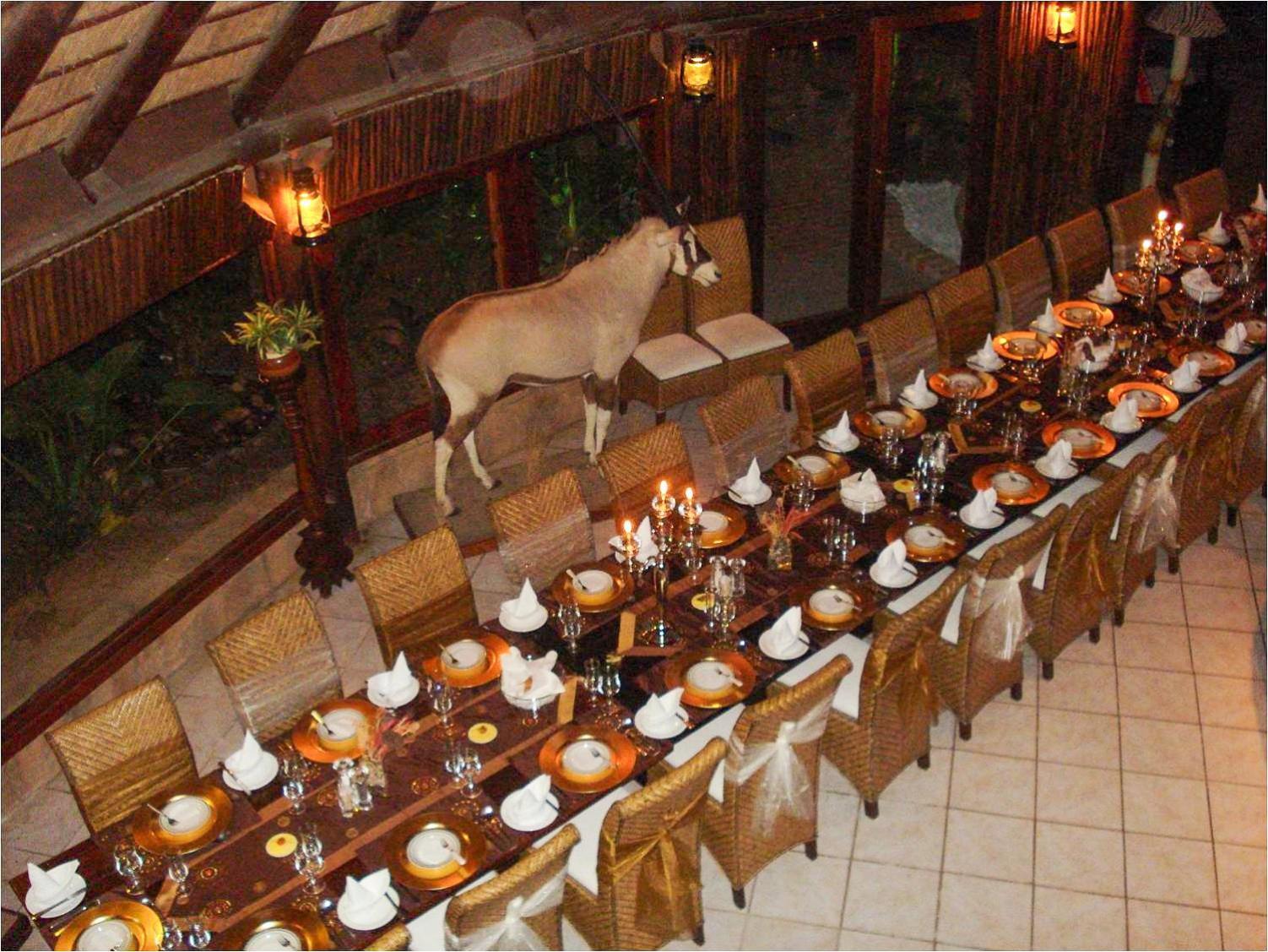 Ditholo Game Lodge Bela Bela المظهر الخارجي الصورة